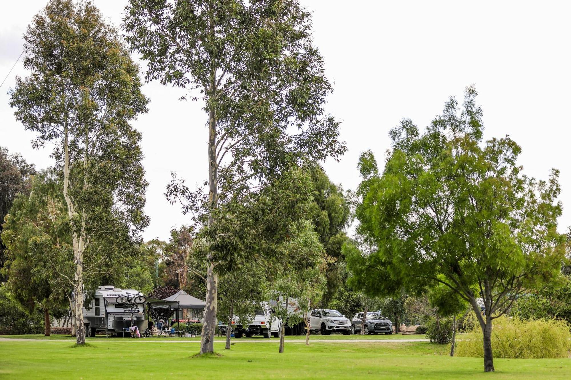 Discovery Parks - Moama Waters Ngoại thất bức ảnh
