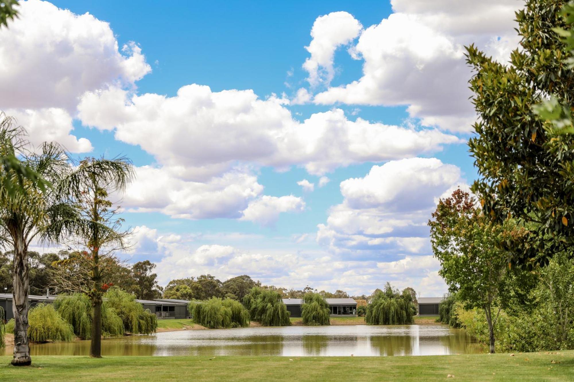 Discovery Parks - Moama Waters Ngoại thất bức ảnh